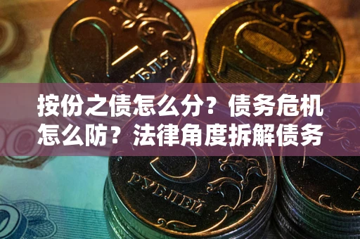 武汉按份之债怎么分？债务危机怎么防？法律角度拆解债务分配与风险自保指南