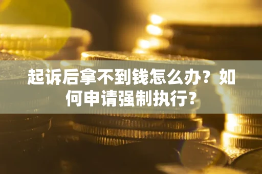 武汉起诉后拿不到钱怎么办？如何申请强制执行？