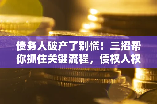 武汉债务人破产了别慌！三招帮你抓住关键流程，债权人权益不再缩水