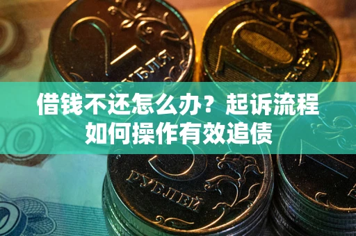 武汉借钱不还怎么办？起诉流程如何操作有效追债