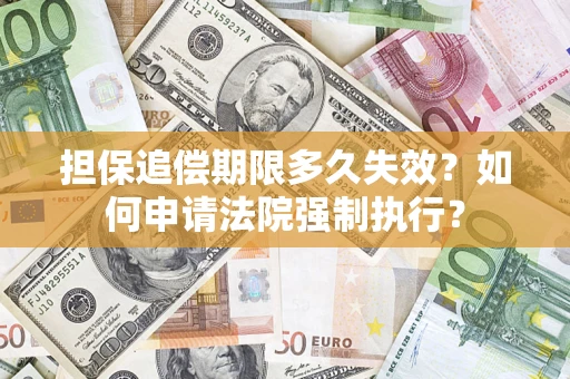 武汉担保追偿期限多久失效？如何申请法院强制执行？