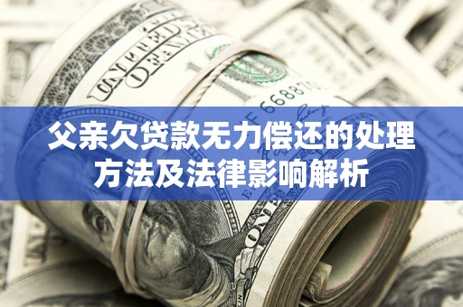 武汉父亲欠贷款无力偿还的处理方法及法律影响解析