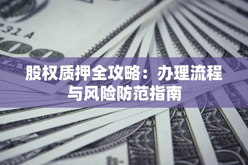 武汉股权质押全攻略：办理流程与风险防范指南