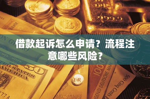 武汉借款起诉怎么申请？流程注意哪些风险？